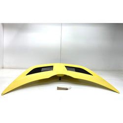 Vauxhall VX220 Bonnet panel 2002