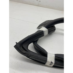 Nissan 370z Door rubber seal passenger left Nismo 2016