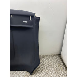 Audi TTRS Roof liner headlining 2020 MK3