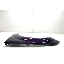 Audi TTRS Wing fender passenger left 2020 MK3