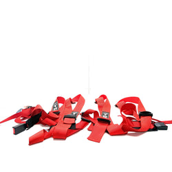 Renault Megane Trs harness RS MK3
