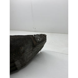 Ford Fiesta ST Arch liner splash guard rear left MK7 ST180 2014 ST-3