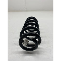 Audi S3 Rear spring 2015 8V