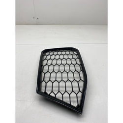 Audi TTRS Bumper grill grille lower 2020 MK3