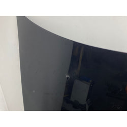 Honda S2000 Bonnet panel 2005