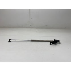 Ford Fiesta ST Nbs gas strut support MK7 ST180 2014 ST-3