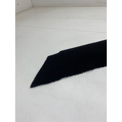 Lotus Elise carpet cover drivers right 111s 2004