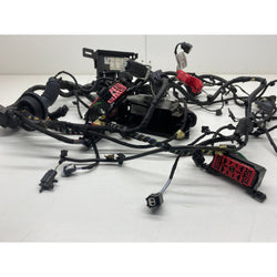 Ford Fiesta ST Engine bay wiring loom MK8.5 2022