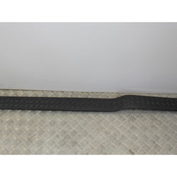 Ford F150 Raptor Sill scuff plate trim right 5.4 V8 2010 SVT