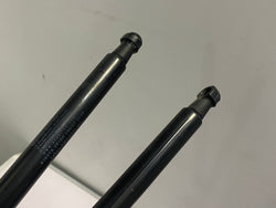 Honda Civic boot struts gas lifts Type R FN2 2007