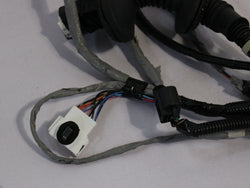 Honda Civic Type R Door wiring loom passenger left front GT FK2