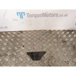 2009 Nissan GT-R Skyline R35 Centre Radiator Shroud Flap