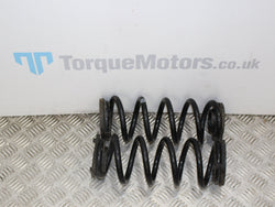 Honda Civic FK8 GT Type R Rear springs